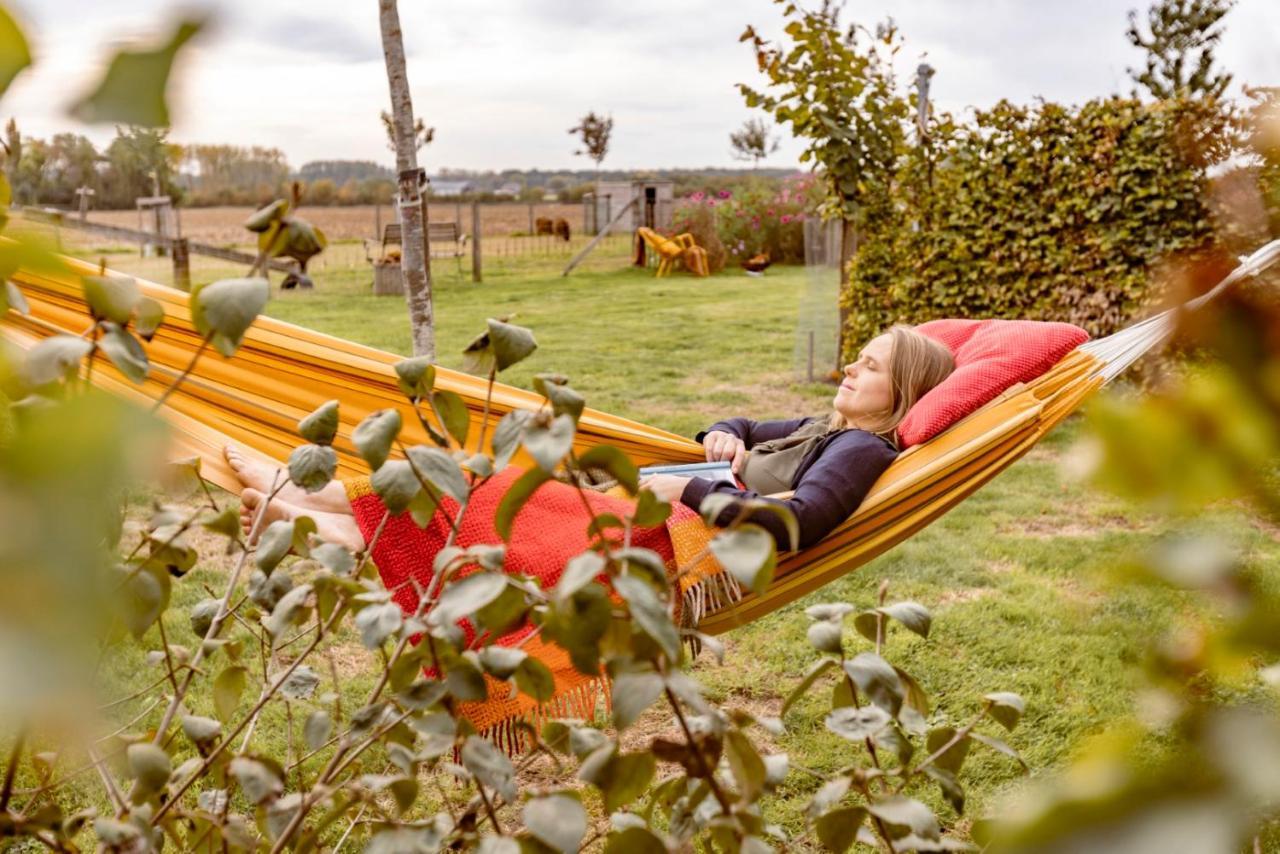 Bed and Breakfast De Zevende Zon Poperinge Exteriér fotografie